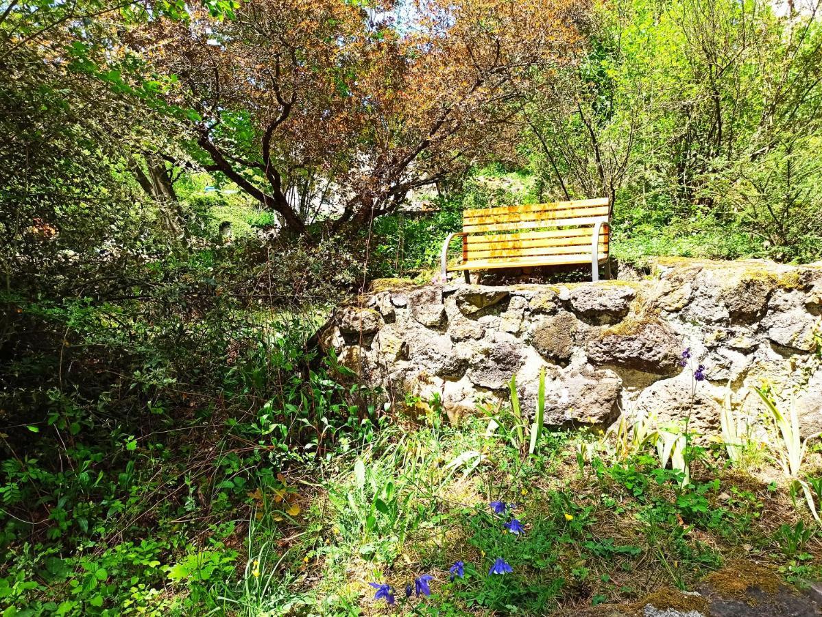 Guest House Les Apparts du Vignal de Cheyrac Polignac  Extérieur photo